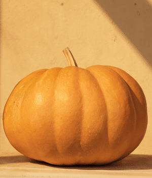 Calabaza - Vegetables that Start with C