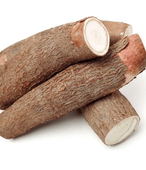 Cassava