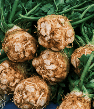 Celeriac - Vegetables that Start with C