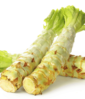 Celtuce - Vegetable Names that Begin with C
