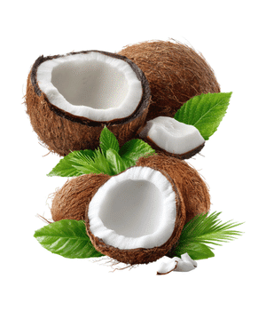 Coconut - Fruits that are Brown with Pictures