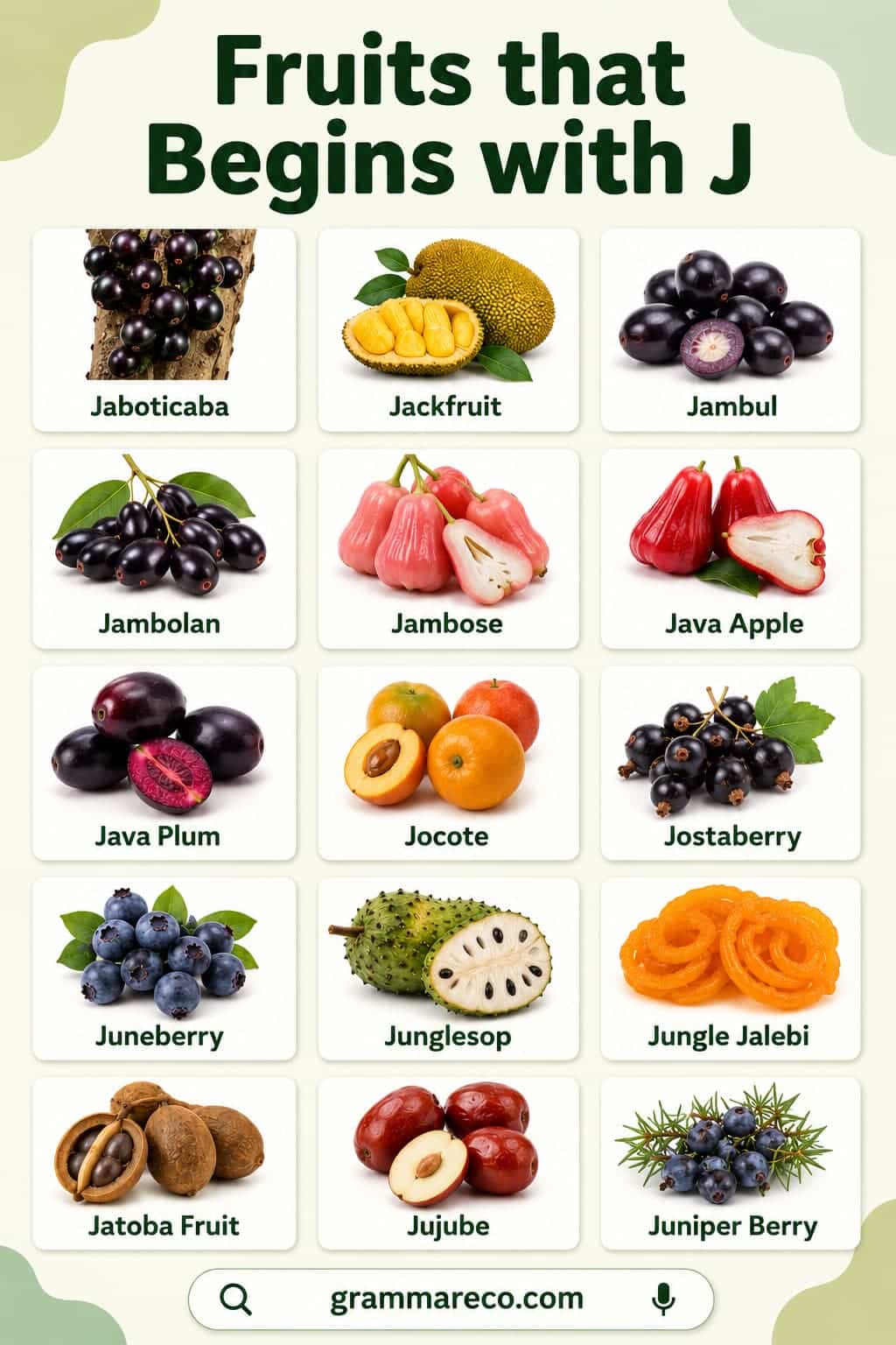 Common Fruit Begins with J with Pictures and Properties