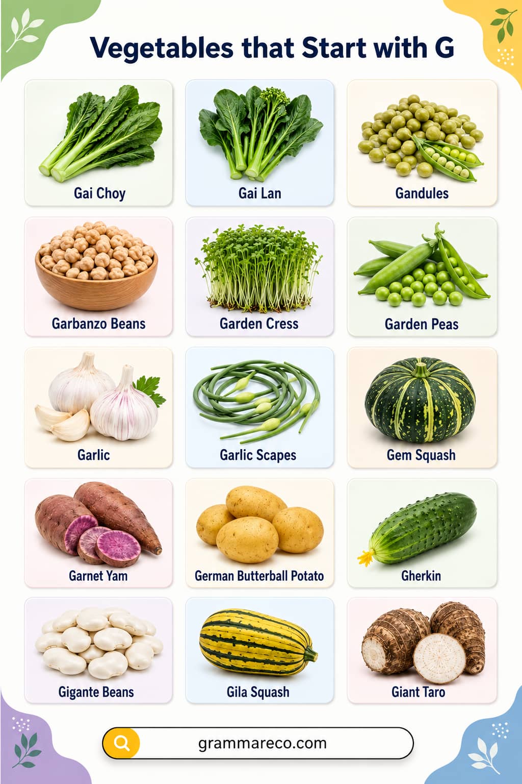 Vegetables that Start with G with Pictures and Explanation