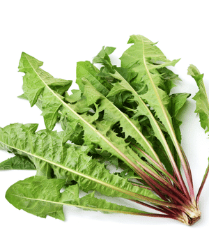 Dandelion Greens - Vegetables that Start with D