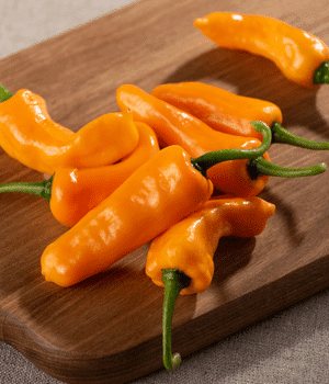 Datil Pepper - Vegetables that Start with D