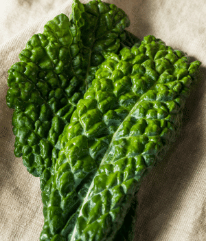 Dinosaur Kale