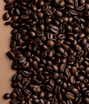 Dolichos Bean