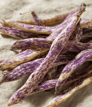 Dragon Tongue Bean - Vegetable Names that Begins with D