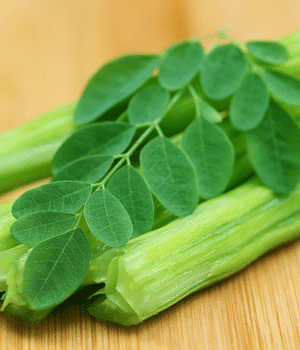 Drumstick Leaves - Vegetable Names that Begins with D