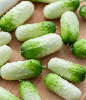 Dutch Cucumber - Vegetable Names that Begins with D