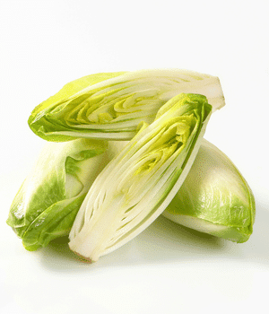 Endive - Vegetable Names that Begin with E