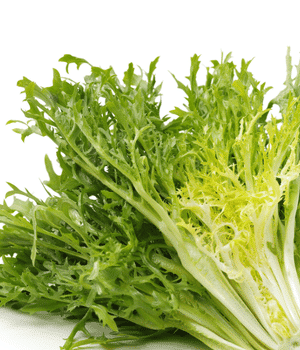 Escarole - Vegetable Names that Begin with E