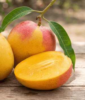 Fascell Mango - Fruit Starting with F