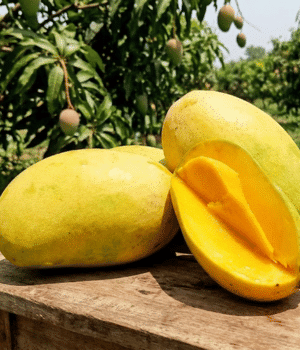 Fazli Mango - Fruit Starting with F