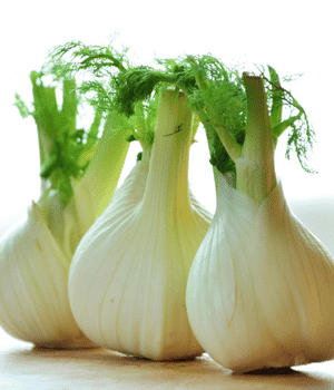 Fennel - Vegetable Names that Begin with F