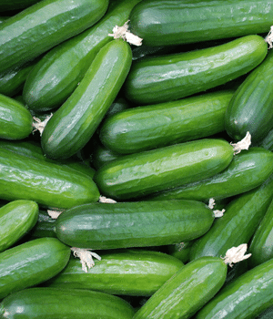 Field Cucumber - Vegetables that start with F