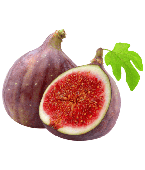 Fig - Fruits that Start with F