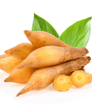 Fingerroot - Vegetable Names that Begin with F