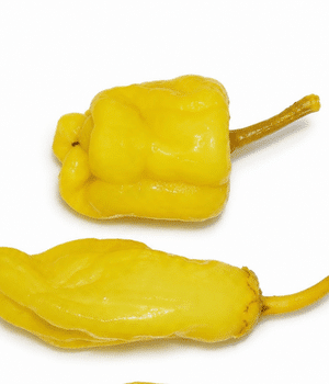 Friggitello Pepper - Vegetables that start with F