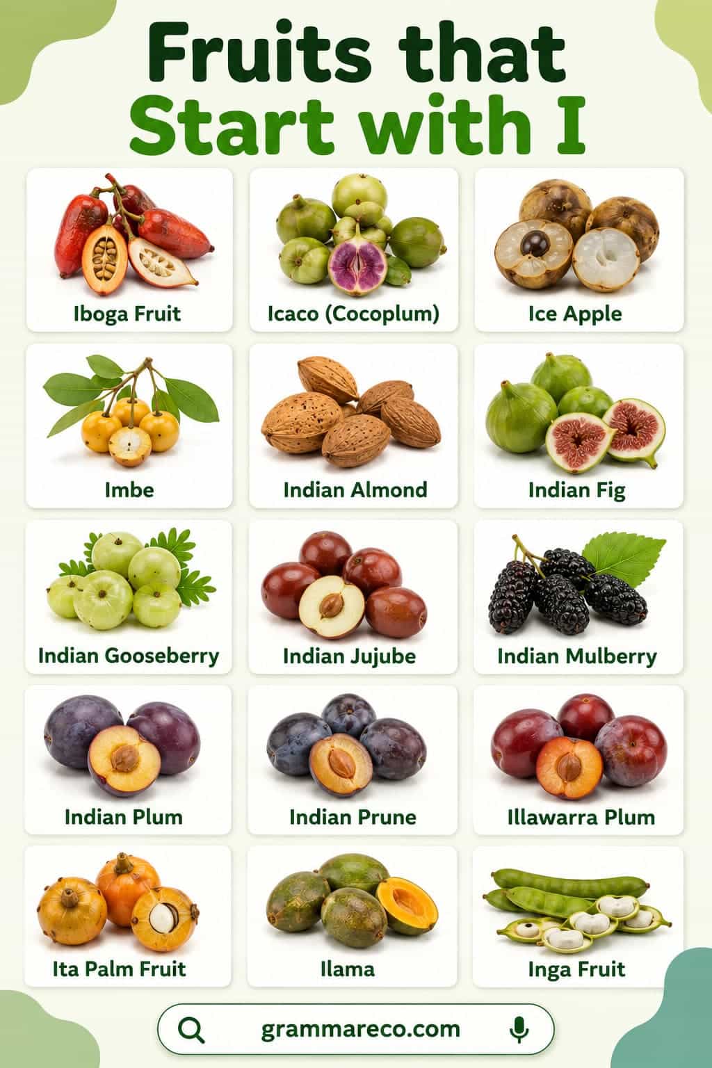 Fruits Beginning with I with Pictures and Definition