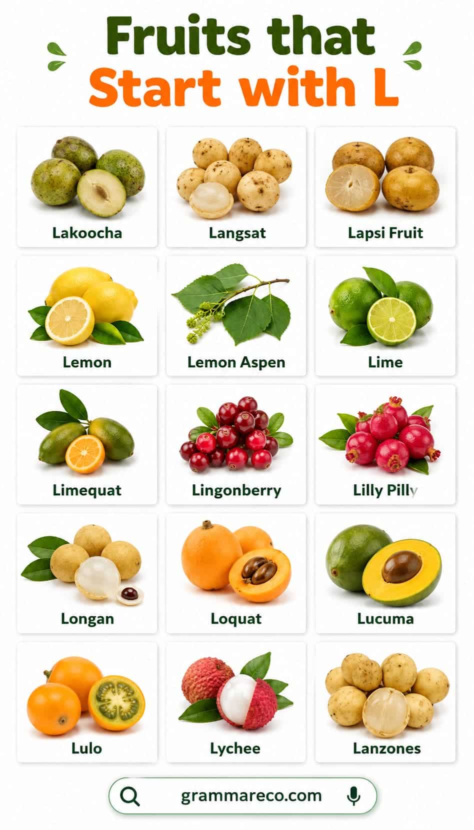 Fruits that Begin with L with Pictures and Properties