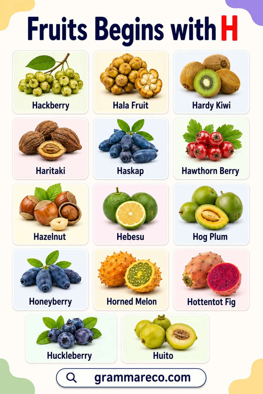 Fruits that Start with H with Pictures and Fun Facts