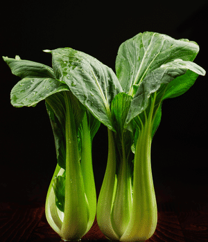 Gai Choy - Vegetables that Start with G