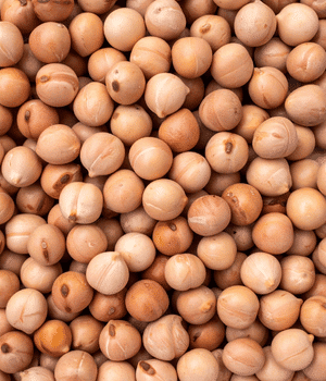 Garbanzo Beans - Vegetables that Start with G