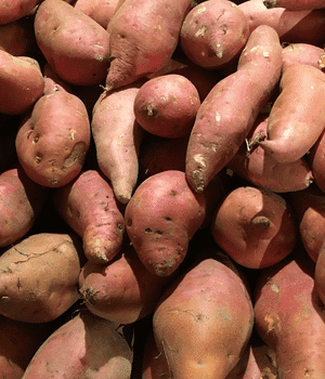 Garnet Yam - Vegetables that Start with G
