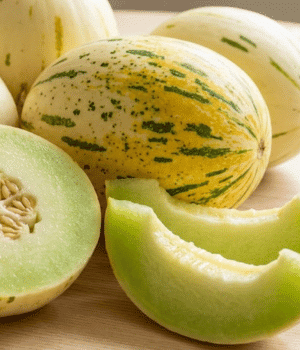 Gaya Melon - Fruit Beginning with G with Photos