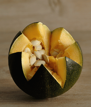 Gem Squash - Vegetables that Start with G
