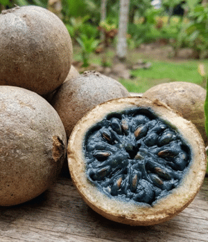 Genipap - Fruit Starting with G