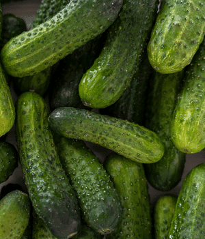 Gherkin - Vegetable Names that Begins with G