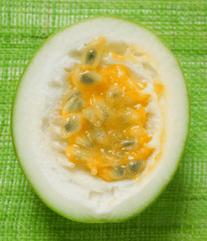 Giant Granadilla