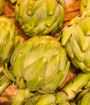 Globe Artichoke - Vegetable Names that Begins with G