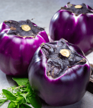 Globe Eggplant - Vegetable Names that Begins with G