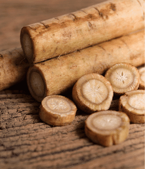 Gobo - Vegetable Names that Begins with G