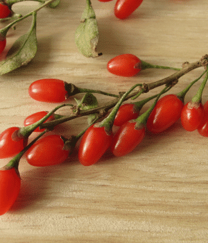 Goji Berry - Fruit Starting with G
