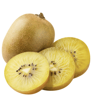 Golden Kiwi - Fruits that Start with G with Pictures