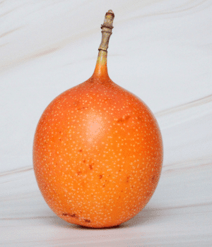 Granadilla
