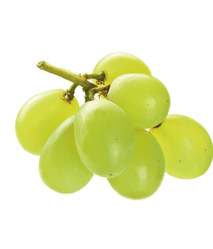 Grape - Fruits that Start with G with Pictures