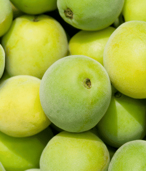 Green Plum - Green Fruit that Start with G