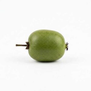 Hardy Kiwi - Fruits that Start with H