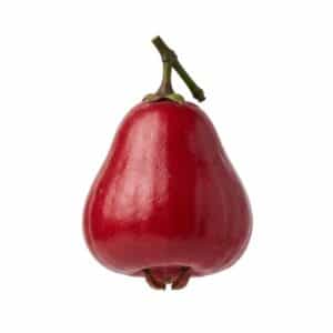 Hawaiian Mountain Apple - Fruits that Start with H
