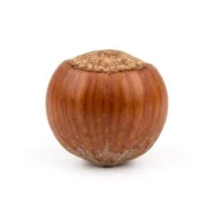 Hazelnut - Fruit Beginning with H with Pictures
