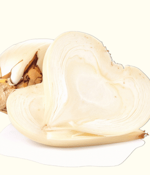 Heart of Palm - Vegetable that start with H