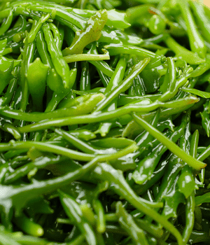 Hijiki - Vegetable that start with H