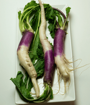 Hinona Kabu Turnip