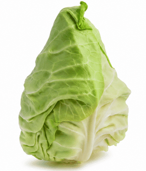 Hispi Cabbage - Vegetable that start with H
