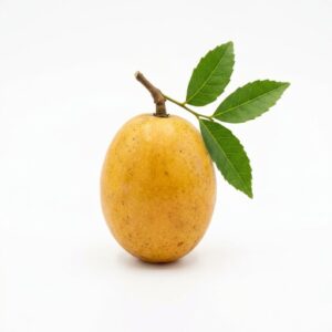 Hog Plum - Fruit From H with Names